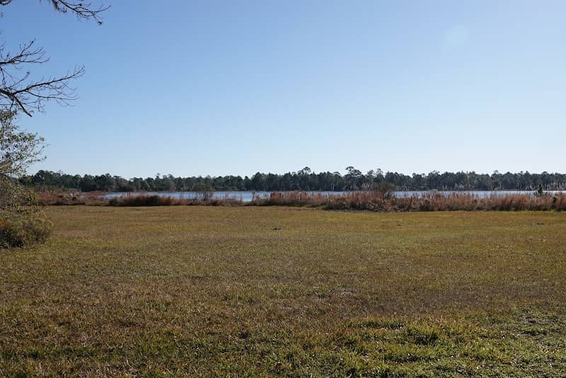 Highlands Hammock State Park, Seven Lakes Picnic Area - Image 3