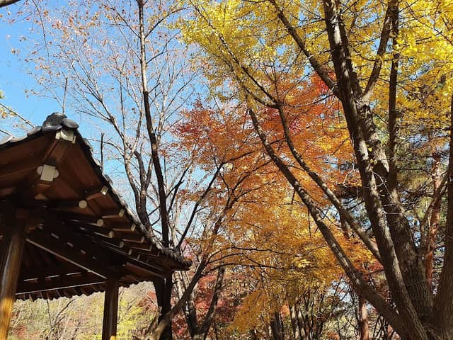 Muakjeong Pavillion - Image 2