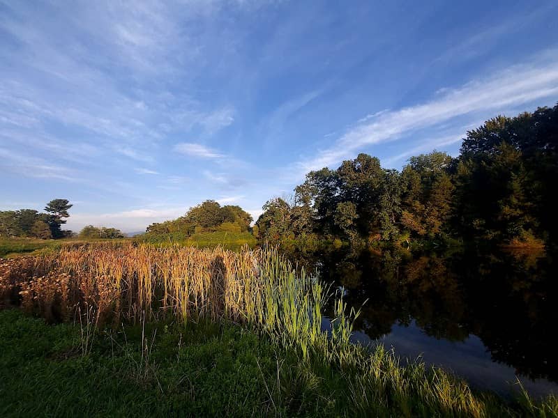 The Trails at Mill Place - Image 2