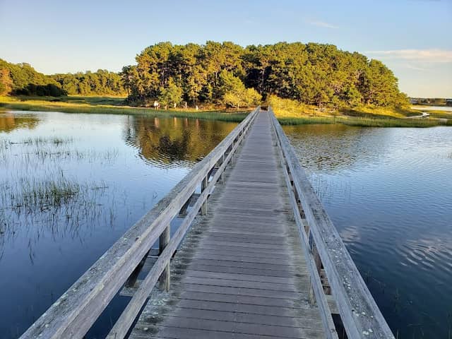 Uncle Tim's Bridge - Image 2