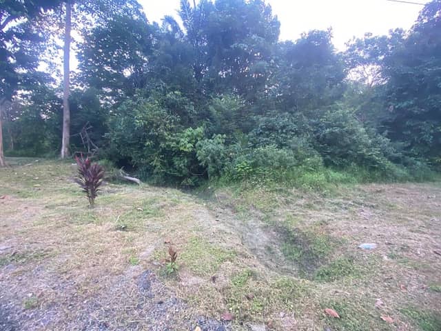 KEBUN ENGKU - Image 1