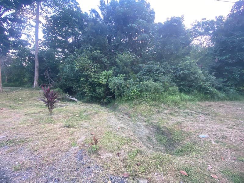 KEBUN ENGKU - Image 1