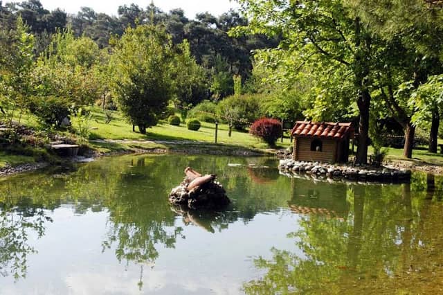 Denizli Metropolitan Municipality Çamlık Park - Image 2