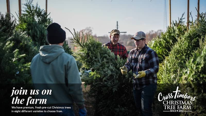 Cross Timbers Christmas Tree Farm and Pumpkin Patch - Image 2