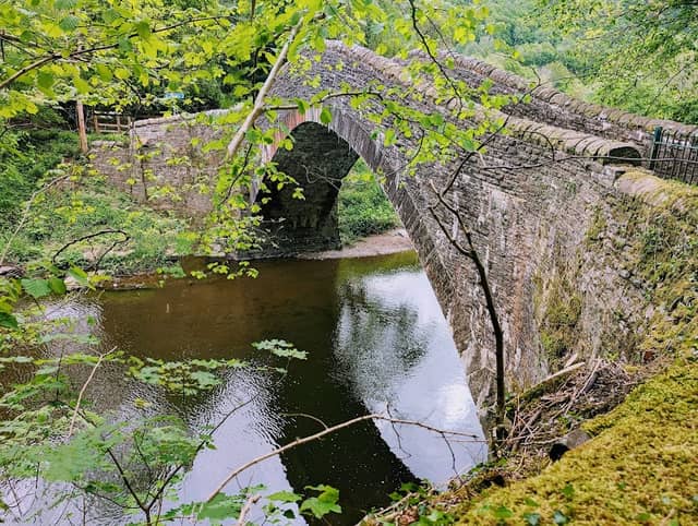 Taff Trail - Image 1
