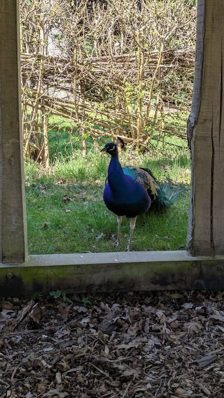 Palmer’s Leys Meadow - Image 1
