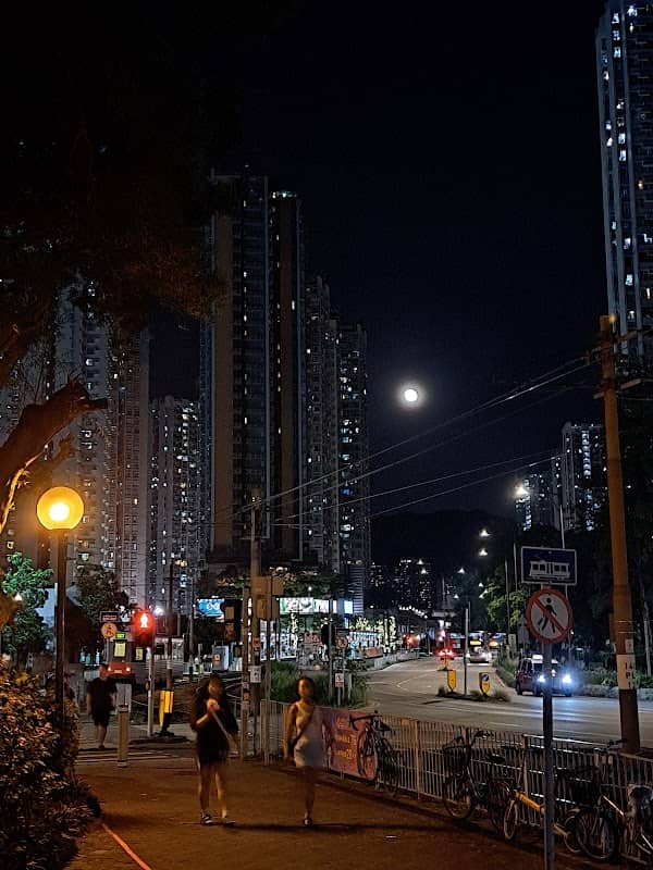 田景大樹 (Ivy) - Image 3