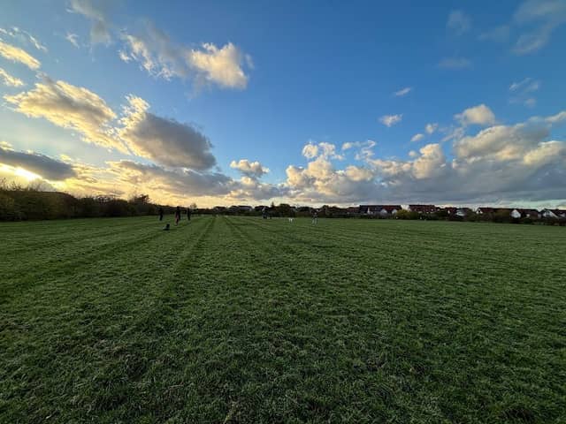 Hundewiese Walldorf - Image 1