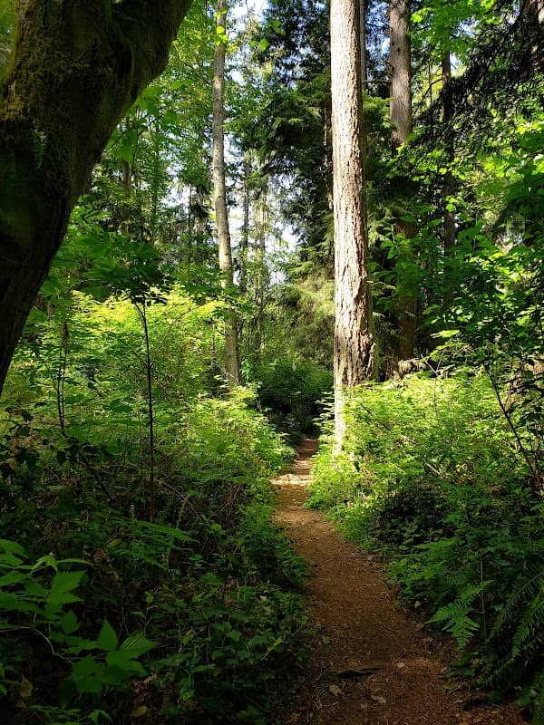 Pioneer Park - Image 3