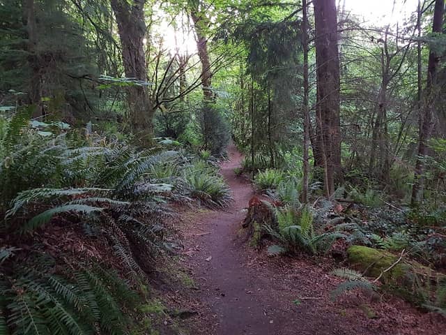 Pioneer Park - Image 2