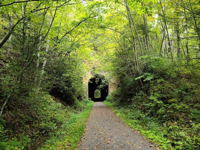 Guest River Gorge Trailhead - Image 1