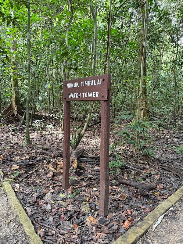 Keruak Forest-Based Recreation Centre - Image 1