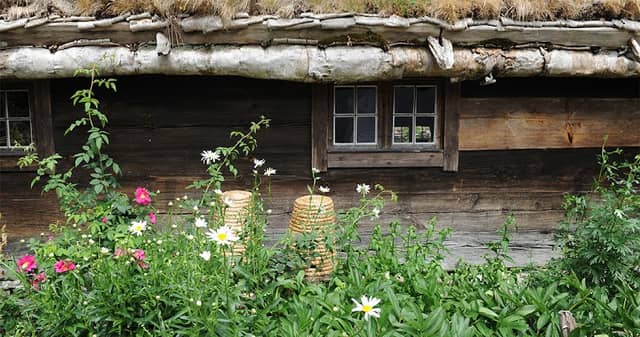 Kulturen - Image 1