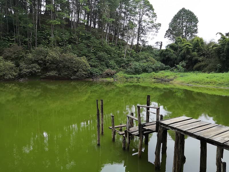 Parque Nacional Las Victorias - Image 1
