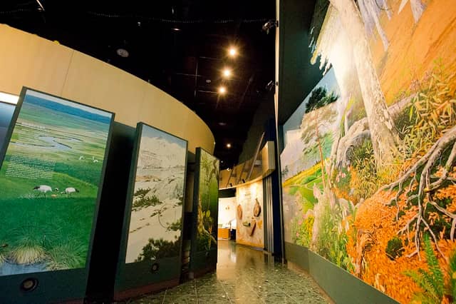 Biodiversity Center of Japan - Image 1