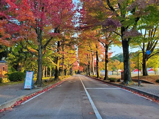 Shiinoki Green Space - Image 2