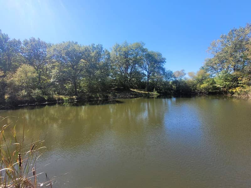 Fellowship Forest - Image 1
