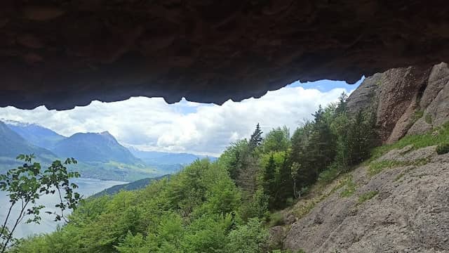 Steigelfadbalm - Image 1