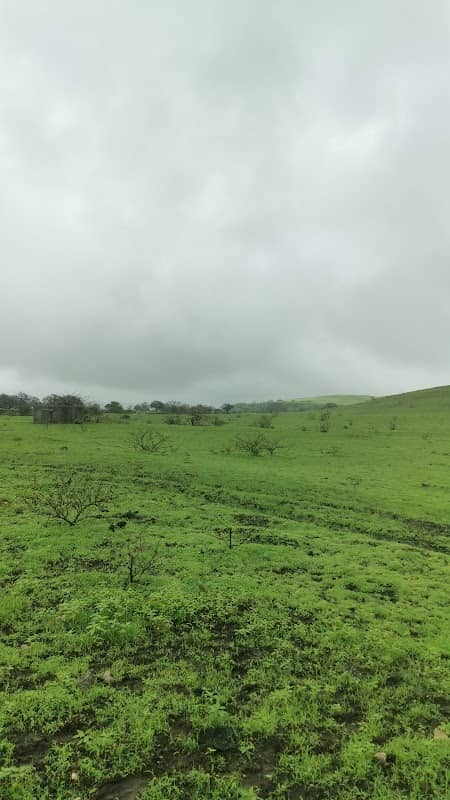 استراحة الصيف - Image 1