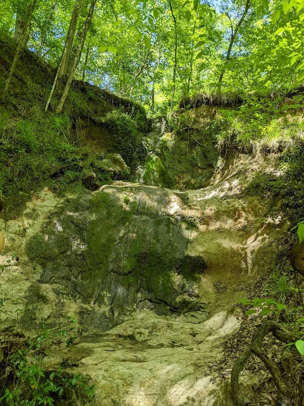 Clark Creek Natural Area - Image 2