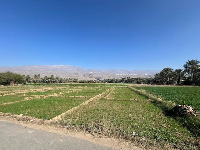 الظهران - Image 1