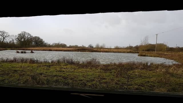 Carymarsh - Image 2