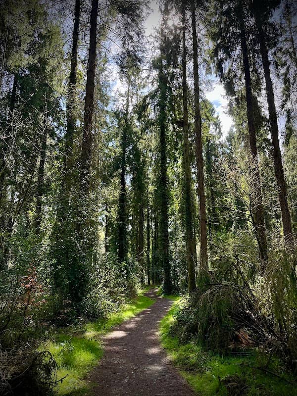 Avondale Walk - Image 3