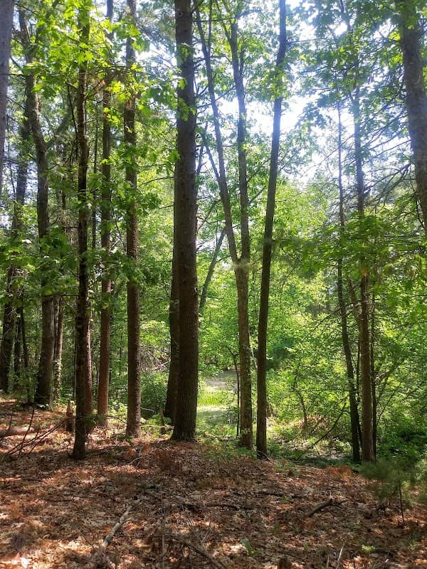 Franklin Woods - Bridle Path, Madison Ave., Phaeton Lane, Steeplechase Rd. - MLT - Image 1