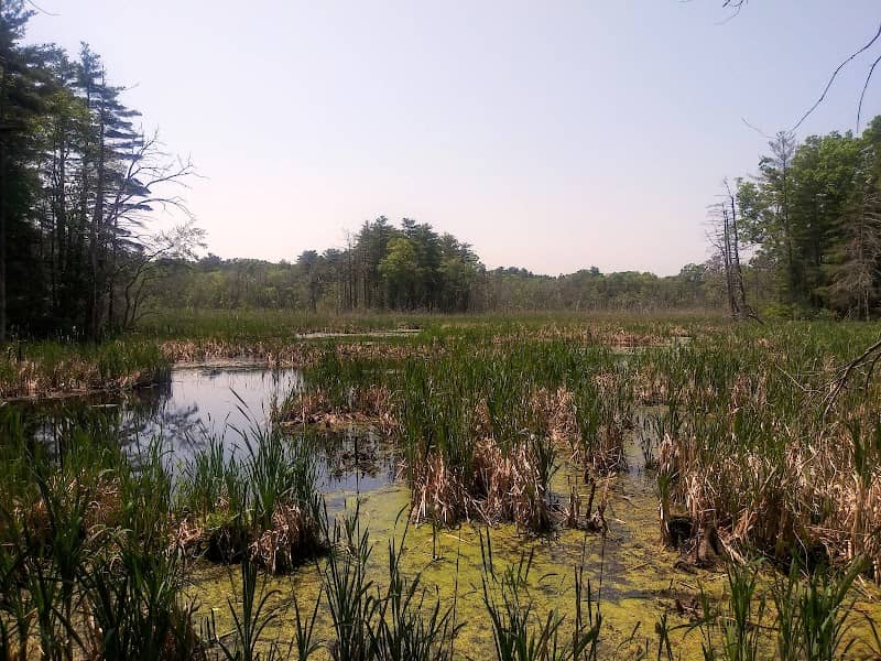 Franklin Woods - Bridle Path, Madison Ave., Phaeton Lane, Steeplechase Rd. - MLT - Image 2