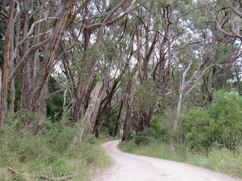 Nurrutti Reserve - Image 1