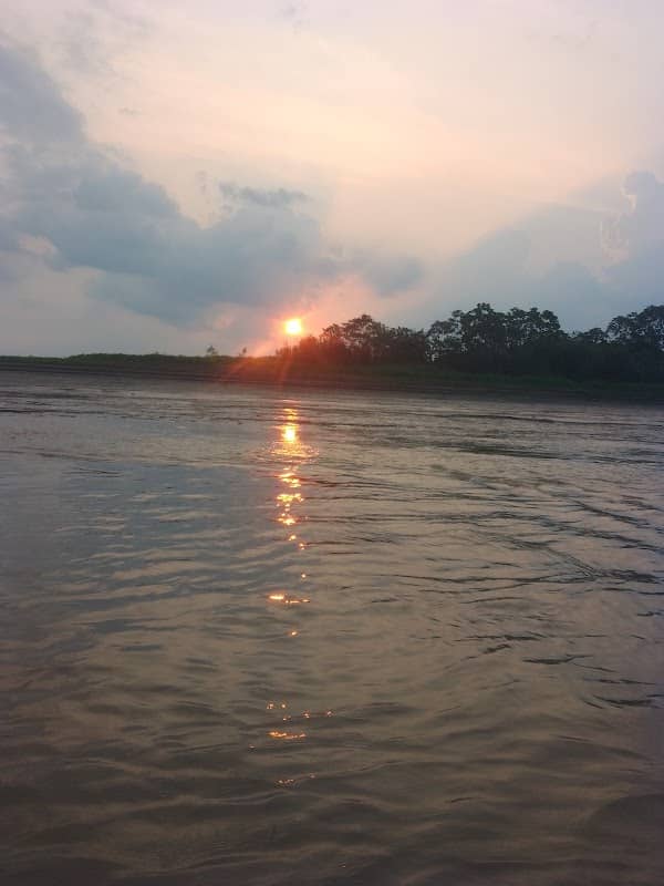 amazonasdiscover - Image 1