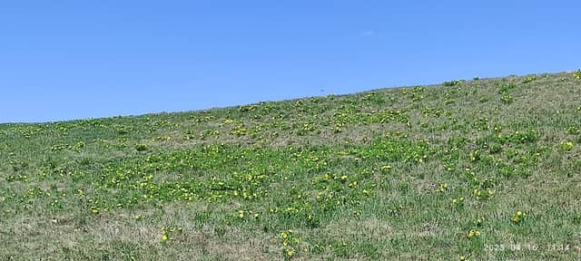 Pogányvár - Image 1