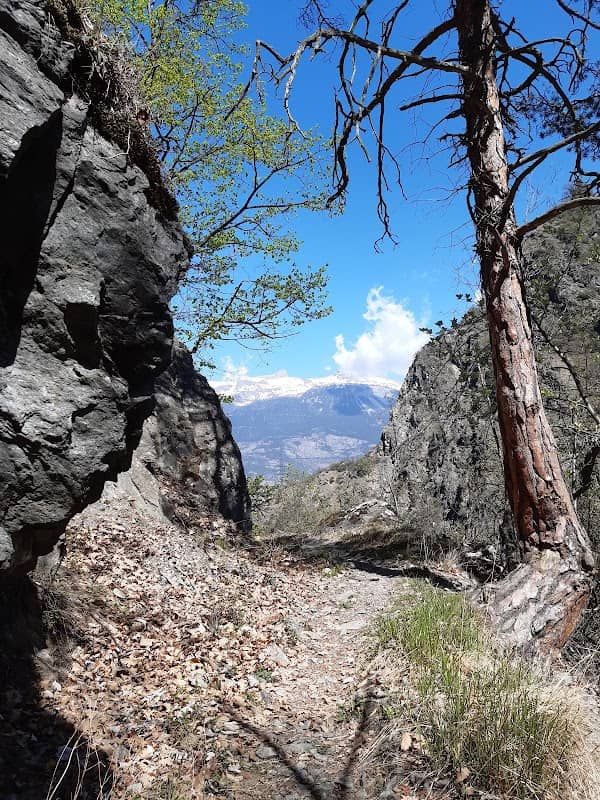 Bisse de Riccard - Image 1