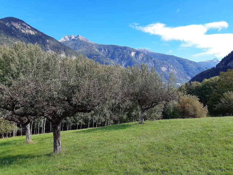 Bisse de Riccard - Image 2