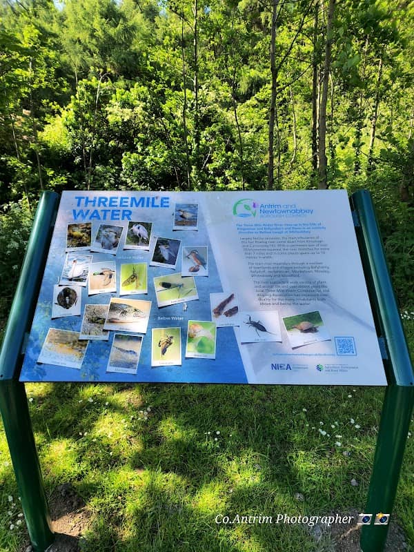 Three Mile Water Conservation Park - Image 2