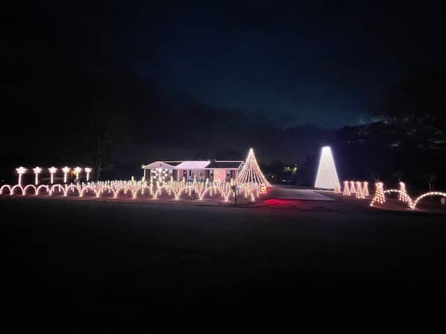 Nodine Family Lights - Image 2