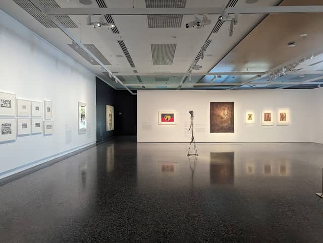Murray Art Museum Albury (MAMA) - Image 2