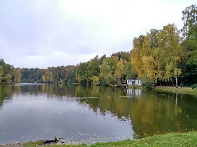 Izmaylovskiy Lesopark - Image 1