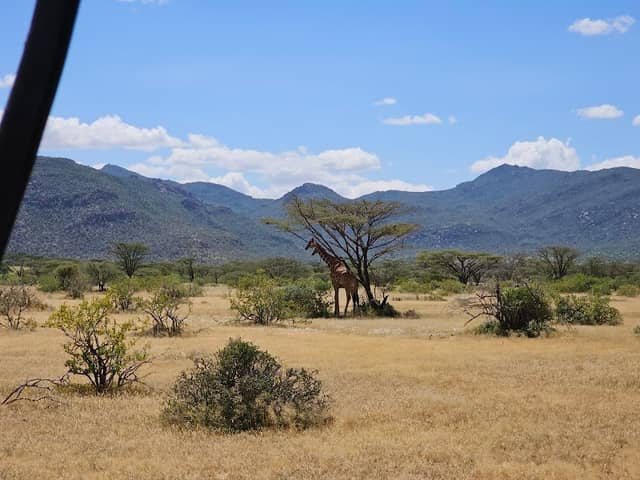 Shaba National Reserve - Image 3