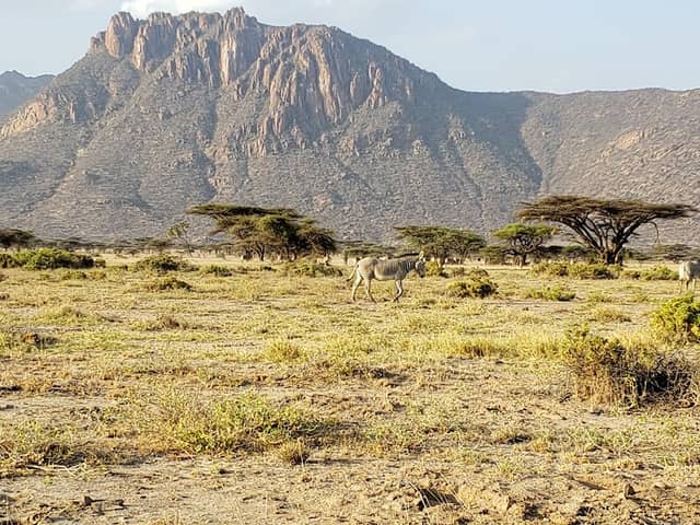 Shaba National Reserve - Image 2