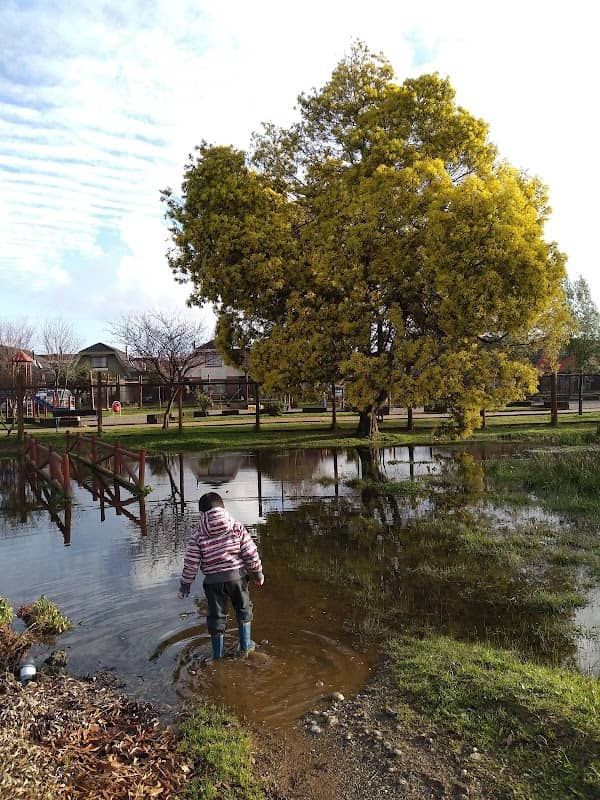 Kramer park's playground - Image 2