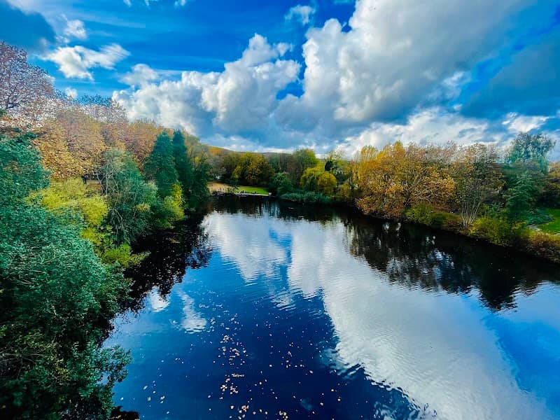 Ischelandteich - Image 2