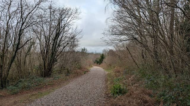 Slade Wood - Image 1