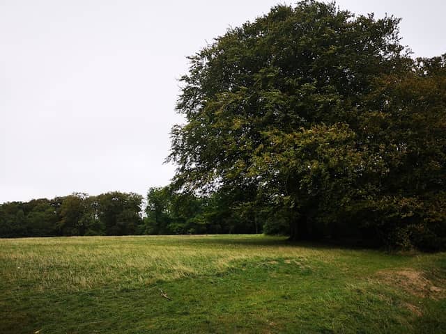 Salomons Memorial - Image 3