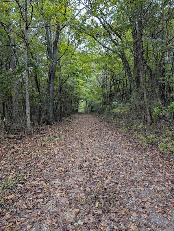 Bone Cave State Natural Area - Image 1