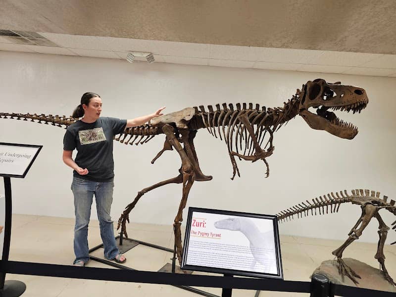 Dinosaur Science Museum and Research Center - Image 3