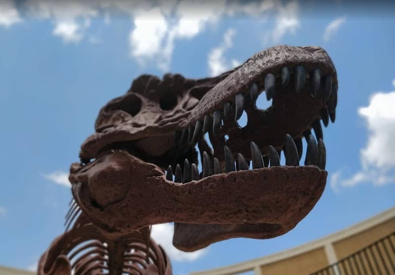 Dinosaur Science Museum and Research Center - Image 1
