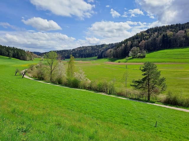 Wandergebiet Littenheid - Image 1