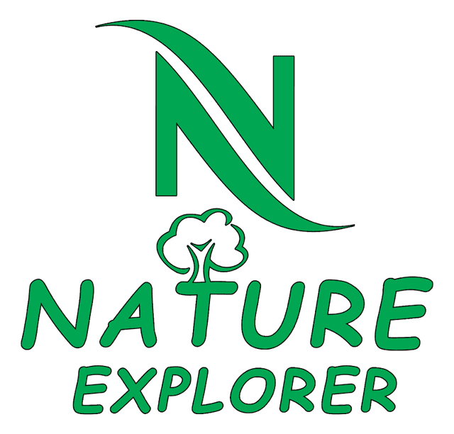 Nature Explorer - Image 2