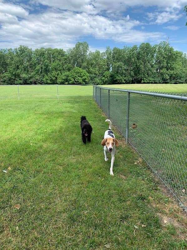Happy Tails Dog Park - Summit - Image 2
